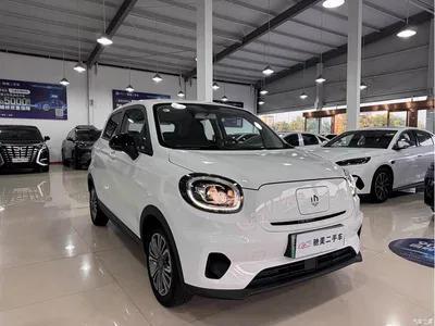 2021 Leapmotor T03 400 Comfort Edition, фото 3, лот 10441697