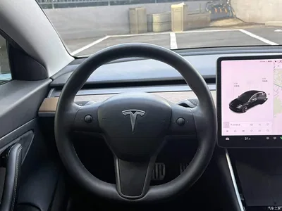 2020 Tesla Model 3 Facelift Long Range Rear-Wheel Drive, фото 3, лот 10369286