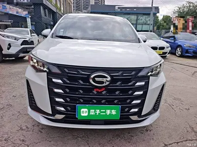 2023 GAC Trumpchi Trumpchi M6 PRO 270T DCT Luxury Edition, фото 3, лот 10421864