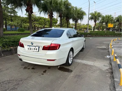 2014 BMW 5 Series 525Li Luxury Design Package, фото 4, лот 10765184