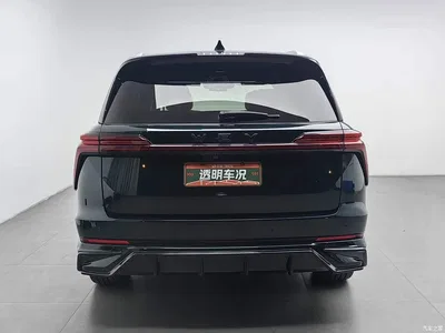 2023 WEY Lanshan AWD Ultra Long Range Edition, фото 4, лот 11579563