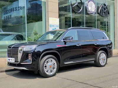 2022 Hongqi Guoyao 4.0T Premium Flagship 4-Seater, фото 1, лот 11170784