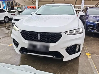 2017 WEY VV7 2.0T Super Luxury, фото 3, лот 11240977