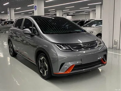 2021 BYD Dolphin Model 405km Fashion Edition, фото 3, лот 11095632