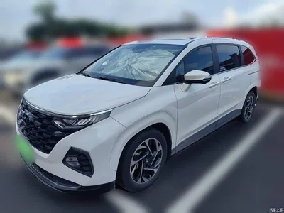 2021 Hyundai Kustu 380TGDi Smart Love Flagship TOP Premium, фото 1, лот 10836377