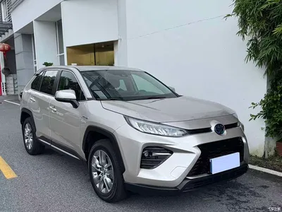 2020 Toyota Wildlander Dual Engine 2.5L E-CVT FWD Luxury, фото 3, лот 10268749