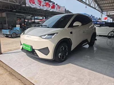 2025 BYD Seagull Smart Drive Edition 305km Freedom Version, фото 1, лот 10262907