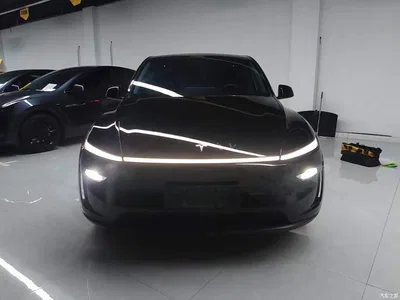 2025 Tesla Model Y Rear-Wheel Drive, фото 3, лот 11584566