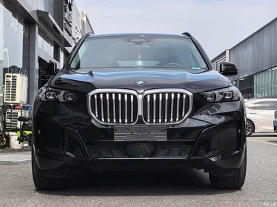 2025 BMW X5 Model xDrive 30Li Exclusive M Sport Blackout Package, фото 2, лот 10463086