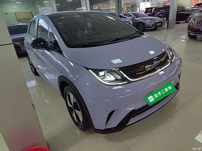 2023 BYD Dolphin 420km Fashion Edition, фото 4, лот 10263985