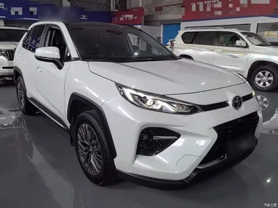 2023 Toyota Wildlander 2.0L CVT FWD Luxury PLUS, фото 4, лот 10384637