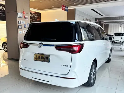 2023 Buick GL8 ES Landmaster Exclusive, фото 4, лот 10254787