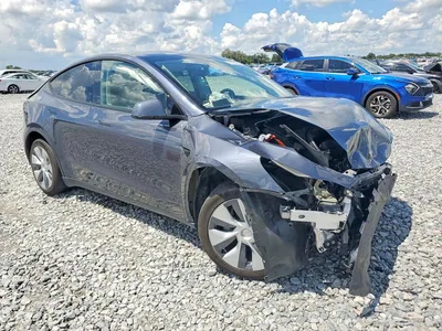 2023 TESLA MODEL Y, фото 4, лот 10856748
