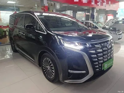 2024 Denza D9 DM-i 980 AWD Premium, фото 4, лот 10899297