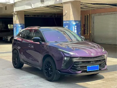 2021 Dongfeng Fengxing T5 EVO 1.5TD DCT Diamond Edition, фото 2, лот 11192471