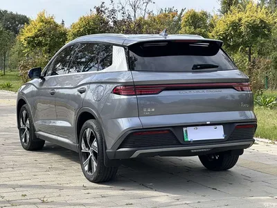 2023 BYD Song Pro New Energy Champion Edition DM-i 110KM Excellence, фото 4, лот 11211926