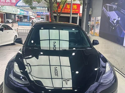 2021 Tesla Model 3 Standard Range Rear-Wheel Drive Upgrade, фото 2, лот 10766335