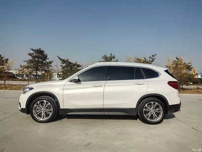2019 BMW X1 sDrive20Li Leading Model, фото 2, лот 10427594