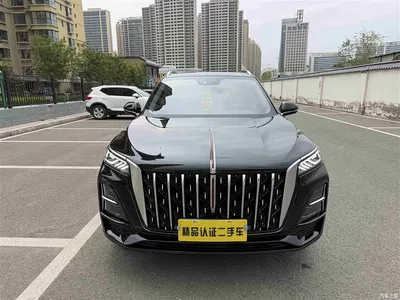 2023 Hongqi HS5 2.0T AWD Flag Enjoy Pro Edition, фото 2, лот 10289302