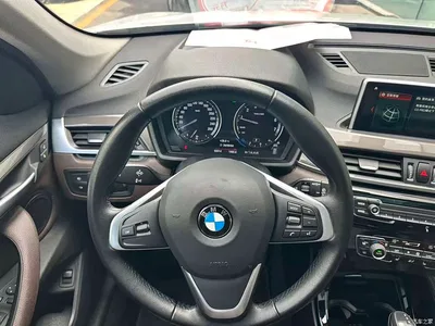 2019 BMW X1 xDrive20Li Premium Model, фото 4, лот 10422473