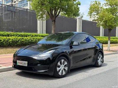 2022 Tesla Model Y Rear-Wheel Drive Version, фото 1, лот 11187886