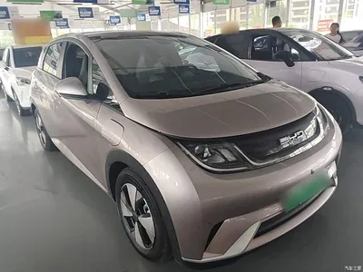 2023 BYD Dolphin 420km Fashion Edition, фото 4, лот 10264157