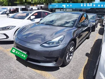 2022 Tesla Model 3 Model Rear-Wheel Drive Version, фото 1, лот 10375600