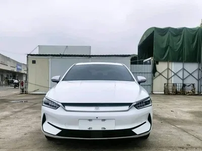 2023 BYD Qin PLUS Champion Edition EV 420KM Advanced Type, фото 3, лот 10632462