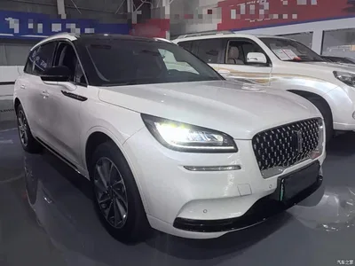 2021 Lincoln Adventurer NEV PHEV AWD e-Elegance Edition, фото 4, лот 11169601