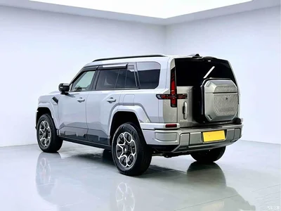 2025 Mengshi M817 Urban Edition High Spec, фото 4, лот 11643530