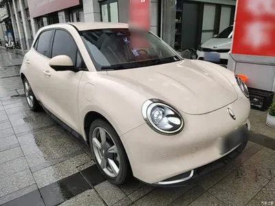 2023 Ora Good Cat 401km Standard Range Luxury LFP, фото 4, лот 10887970