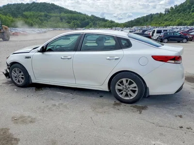 2016 KIA OPTIMA LX, фото 2, лот 10774746