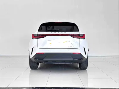 2023 Lexus NX 260 FWD Creative Travel Special Edition, фото 4, лот 10317323