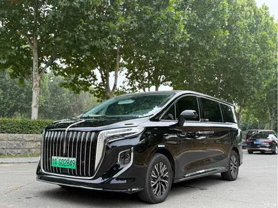 2024 Hongqi HQ9 PHEV Model 2.0T AWD Business Edition, фото 1, лот 11195105