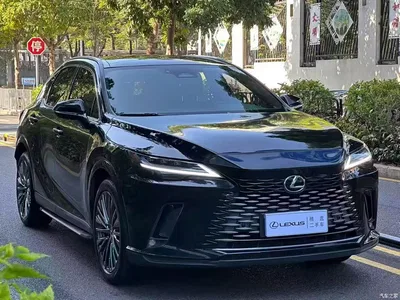 2023 Lexus RX 350h 4WD Pure Edition, фото 3, лот 10318083