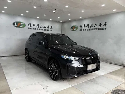 2025 BMW X5 Model xDrive 40Li M Sport Blackout Package, фото 3, лот 10462901