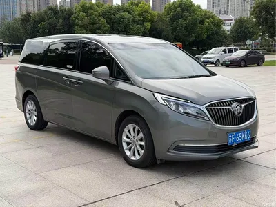 2017 Buick GL8 ES 28T Comfort Type China V, фото 2, лот 10256462