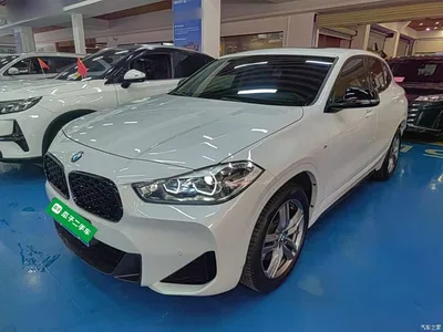 2023 BMW X2 sDrive25i M Sport Shadow Edition, фото 1, лот 11212592