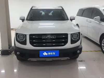 2021 Haval Big Dog 1.5T DCT 2WD Border Collie - Wangcai Edition, фото 2, лот 10404601