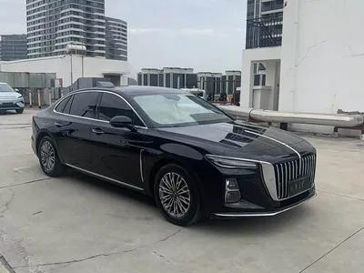 2023 Hongqi H5 1.5T DCT Smart Connect Flag Rhythm, фото 3, лот 11138908
