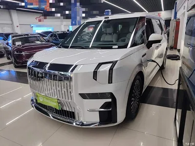 2024 ZEEKR 009 7-Seat Aisle Version 108kWh, фото 1, лот 10890367