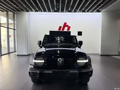2024 Tank 300 Model 2.0T Challenger, фото 2, лот 11580045