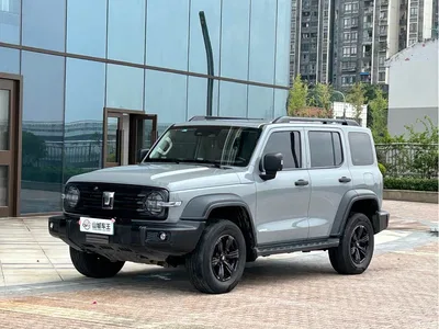 2024 Tank 300 2.0T Explorer, фото 1, лот 11087140