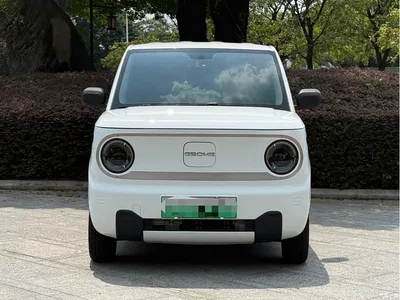 2023 Geely Galaxy Panda Mini 200km Endurance Bear, фото 2, лот 10431081