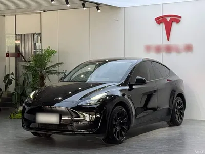2022 Tesla Model Y Facelift Rear-Wheel Drive Version, фото 2, лот 10369708