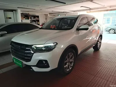 2021 Haval H6 Model National Trend Edition 1.5T Auto Champion, фото 2, лот 10285657