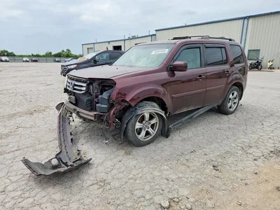2013 HONDA PILOT EXL, фото 1, лот 10682754