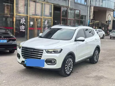 2020 Haval H6 1.5GDIT Automatic Platinum Champion Edition, фото 1, лот 10816176
