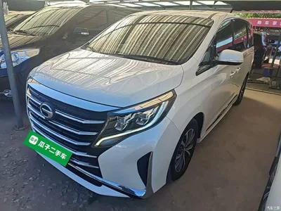 2021 GAC Trumpchi Trumpchi M8 Leading Show Series 390T Premium Edition, фото 2, лот 11580412