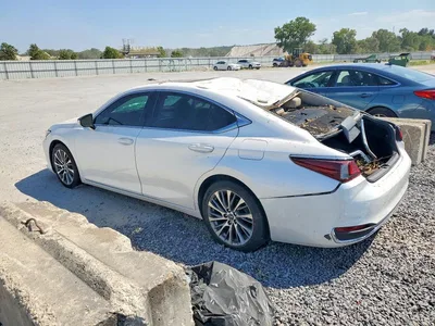 2021 LEXUS ES 250 BASE, фото 2, лот 10904628